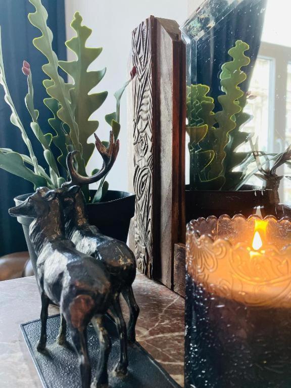 Living History - Suikernest Lejlighedshotel Antwerpen Eksteriør billede